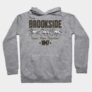 Brookside (Light Option) Hoodie